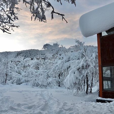 Chalet Cipres Las Trancas Exterior photo