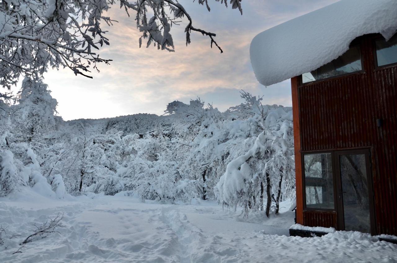Chalet Cipres Las Trancas Exterior photo