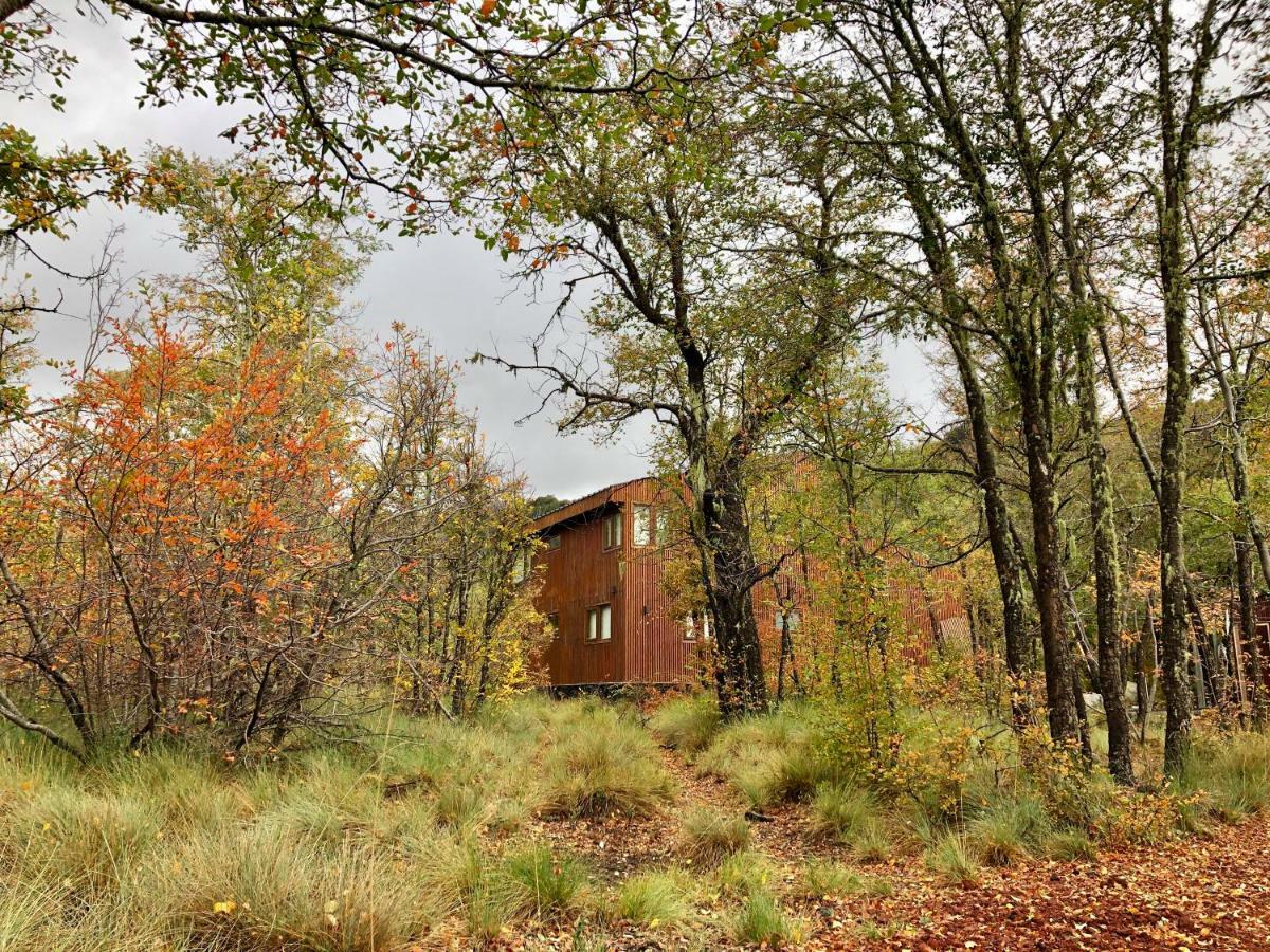 Chalet Cipres Las Trancas Exterior photo